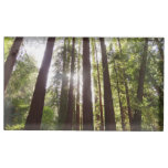 Up to Redwoods in the Morning Place Card Holder