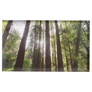Up to Redwoods in the Morning Place Card Holder