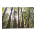 Up to Redwoods in the Morning Placemat