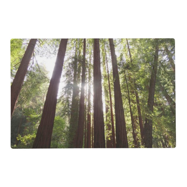 Up to Redwoods in the Morning Placemat (Front)
