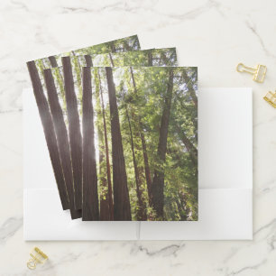 Up to Redwoods in the Morning Pocket Folder