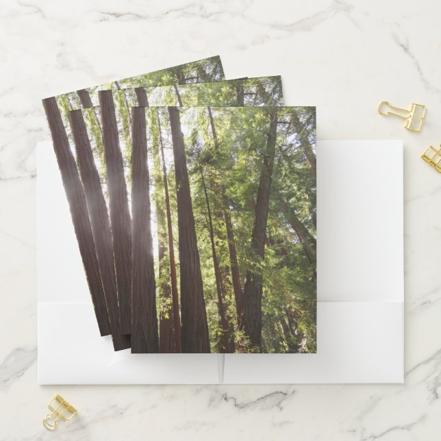 Up to Redwoods in the Morning Pocket Folder (In Situ)