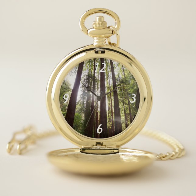 Up to Redwoods in the Morning Pocket Watch (Inside)