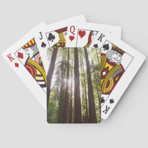 Up to Redwoods in the Morning Poker Cards