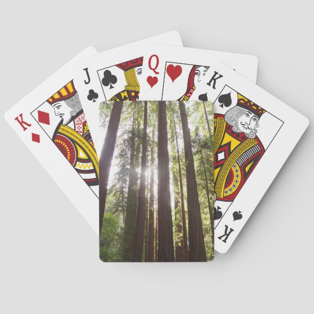 Up to Redwoods in the Morning Poker Cards (Back)