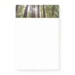 Up to Redwoods in the Morning Post-it Notes