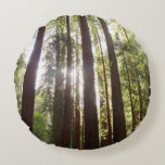 Up to Redwoods in the Morning Round Pillow
