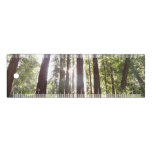 Up to Redwoods in the Morning Ruler