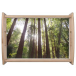 Up to Redwoods in the Morning Serving Tray