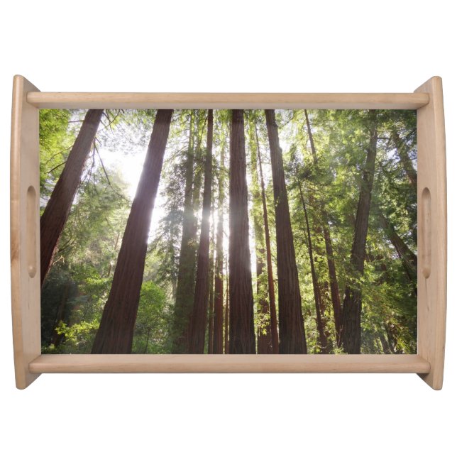 Up to Redwoods in the Morning Serving Tray (Front)