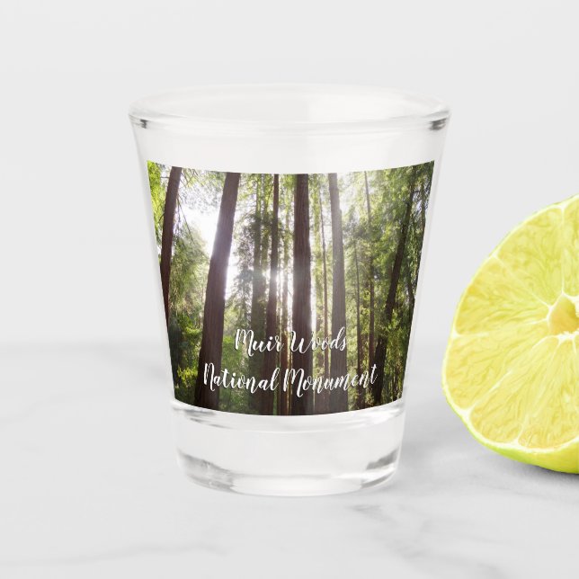 Up to Redwoods in the Morning Shot Glass (Front)