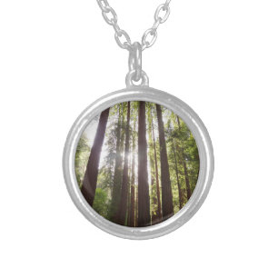 Up to Redwoods in the Morning Silver Plated Necklace