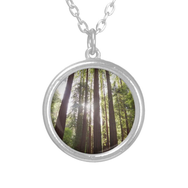 Up to Redwoods in the Morning Silver Plated Necklace (Front)