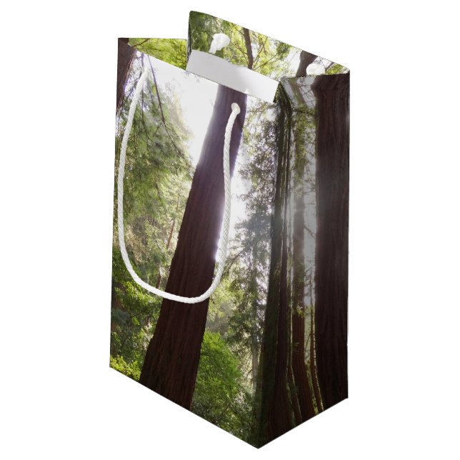 Up to Redwoods in the Morning Small Gift Bag (Back Angled)