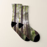 Up to Redwoods in the Morning Socks