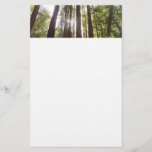 Up to Redwoods in the Morning Stationery