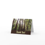 Up to Redwoods in the Morning Thank You Card