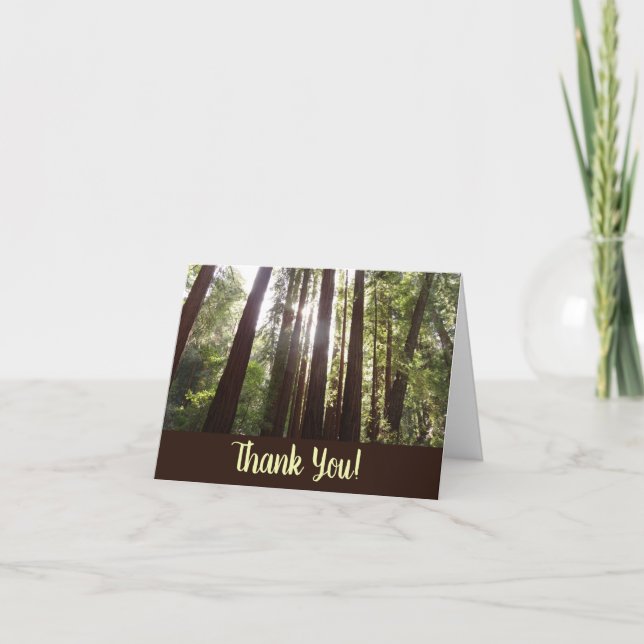 Up to Redwoods in the Morning Thank You Card (Front)