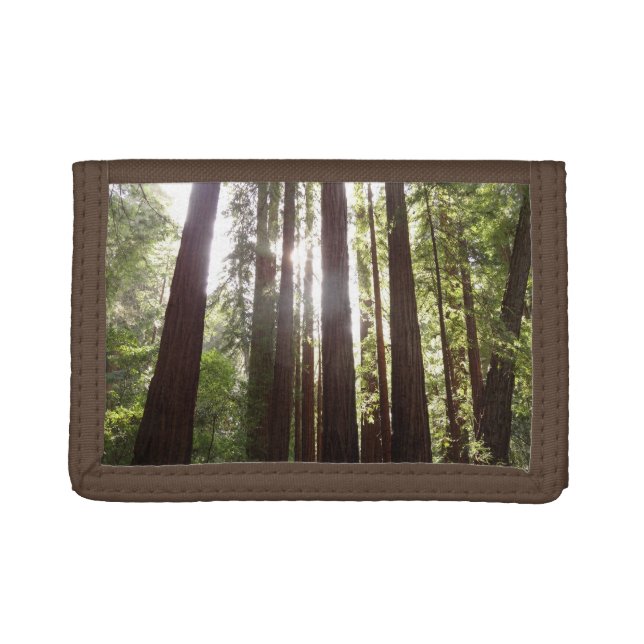 Up to Redwoods in the Morning Trifold Wallet (Front)