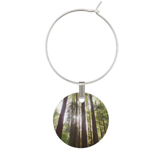 Up to Redwoods in the Morning Wine Charm (Front)
