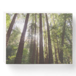 Up to Redwoods in the Morning Wooden Box Sign
