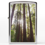 Up to Redwoods in the Morning Zippo Lighter