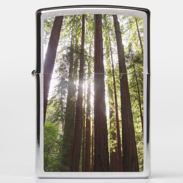 Up to Redwoods in the Morning Zippo Lighter (Front)