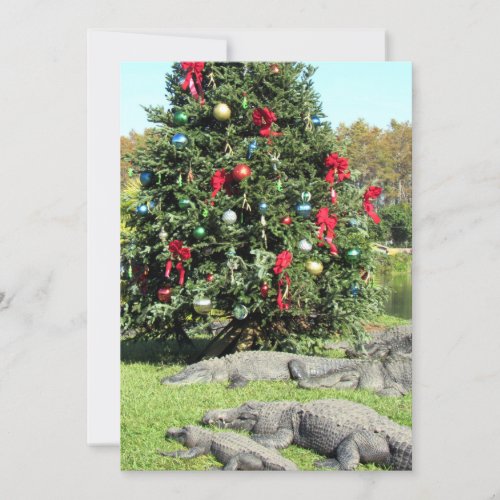 Up To Your Neck in Alligators _ Humor  _ Flat Holiday Card