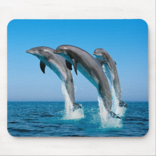 Up Up Up Dolphins Mouse Pad