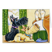 Up Yet (Front Horizontal)