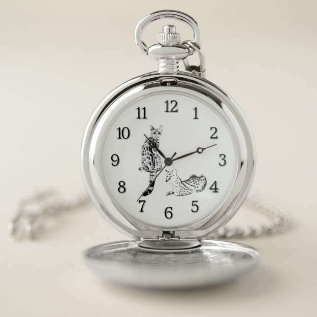 update pocket watch (Inside)