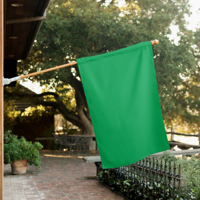 Upgrade Your Web Design with a Green Background House Flag (In SItu)