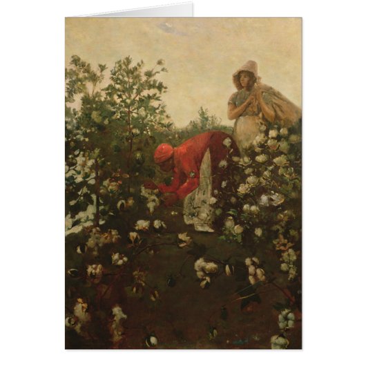Upland Cotton Cards (Front)