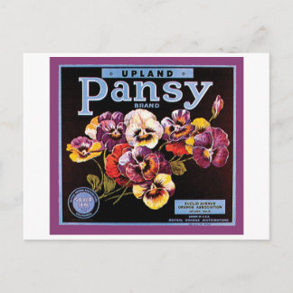 Upland Pansy VIntage Crate Label Postcard