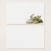 Upland Sandpiper by Audubon (Front & Back)