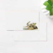 Upland Sandpiper by Audubon (Desk)
