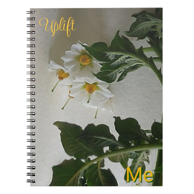 Uplift Me Notebook (Front)