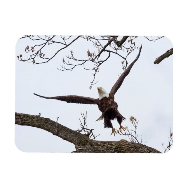 Uplifting Magnet (Horizontal)