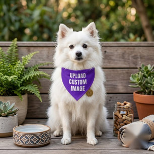 Upload Custom Image - Add Your Own To Print On A Pet Bandana Collar