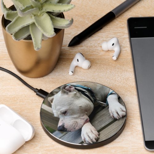 Upload Cute Pet Photo Wireless Charger