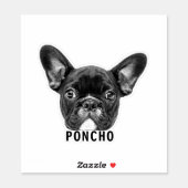 Upload Pet Face Photo & Name Customized Sticker (Sheet)