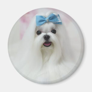 Upload Pet Photo Cute Adorable Dog Magnet