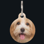 Upload photo animal pet ID tag<br><div class="desc">Edit the text and get a personalized product with a phrase or your name. In some products you can also upload an image.</div>