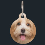 Upload photo animal pet ID tag<br><div class="desc">Edit the text and get a personalized product with a phrase or your name. In some products you can also upload an image.</div>