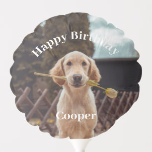 Upload Photo Dog Personalize Cat Photo two-sided  Balloon