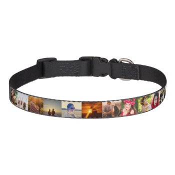 Upload Photo Pet Collar by PedroVale at Zazzle