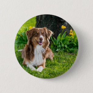 Upload Your Favorite Pet Photo Button