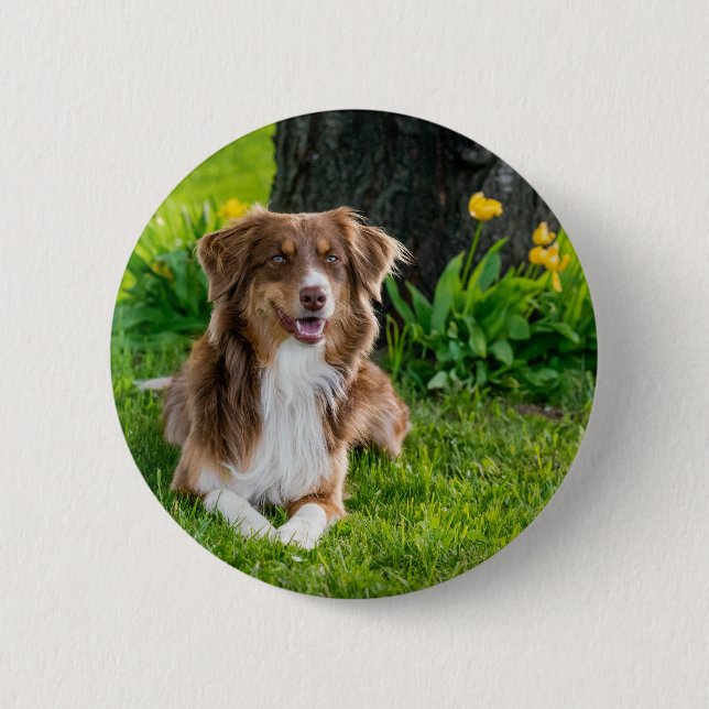 Upload Your Favorite Pet Photo Button (Front)
