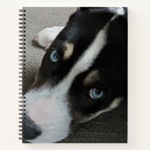 Upload your own Dog or leave this Pitbull Husky  Notebook