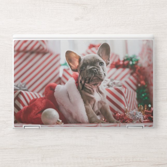 Upload Your Own Photo | Custom Pet Photo HP Lap HP Laptop Skin (Front)